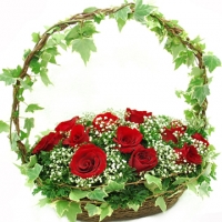 Flower Basket 15