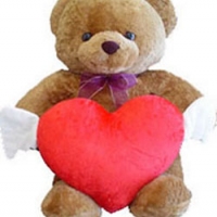 2 ft Brown Teddy Bear with heart shape Pillow.