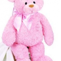 3 ft Teddy Bear pink