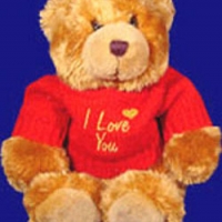 2 ft Teddy Bear with I love You T-shirt-2