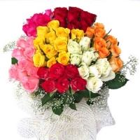 Bunch of 72 Mix Roses