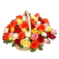 mix Rainbow Roses basket
