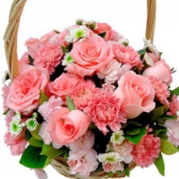 Carnations& roses Basket