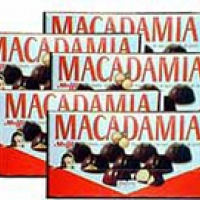 5 box of Meiji Macadamia