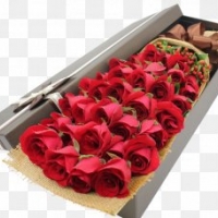 20 imported red Roses in an Elegant Box
