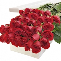 30 Red Roses in box