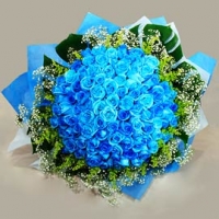 60 Blue Roses Bunch