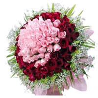Exotic looking Bunch of 100 roses in red and pink
