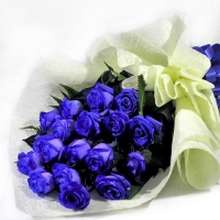 12 holland blue roses bouquet