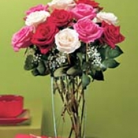 Mix roses for your Mom
