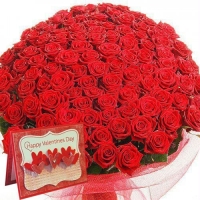 101 RED ROSES W/VALENTINES CARD